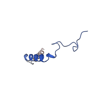 31371_7exd_G_v1-1
Lasmiditan-bound serotonin 1F (5-HT1F) receptor-Gi protein complex