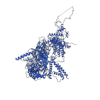 3979_6exn_A_v1-4
Post-catalytic P complex spliceosome with 3' splice site docked