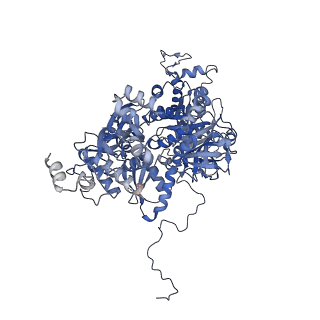 3979_6exn_C_v1-4
Post-catalytic P complex spliceosome with 3' splice site docked