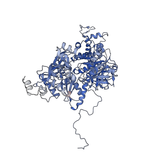 3979_6exn_C_v2-0
Post-catalytic P complex spliceosome with 3' splice site docked