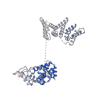 3979_6exn_H_v1-4
Post-catalytic P complex spliceosome with 3' splice site docked