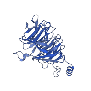 3979_6exn_J_v1-4
Post-catalytic P complex spliceosome with 3' splice site docked