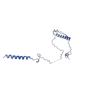 3979_6exn_K_v1-4
Post-catalytic P complex spliceosome with 3' splice site docked