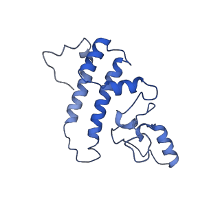 3979_6exn_L_v1-4
Post-catalytic P complex spliceosome with 3' splice site docked