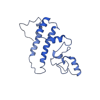3979_6exn_L_v2-0
Post-catalytic P complex spliceosome with 3' splice site docked