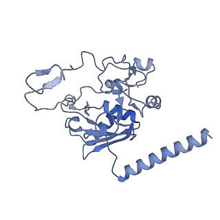 3979_6exn_M_v1-4
Post-catalytic P complex spliceosome with 3' splice site docked