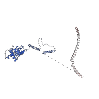 3979_6exn_O_v1-4
Post-catalytic P complex spliceosome with 3' splice site docked