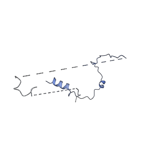 3979_6exn_P_v1-4
Post-catalytic P complex spliceosome with 3' splice site docked