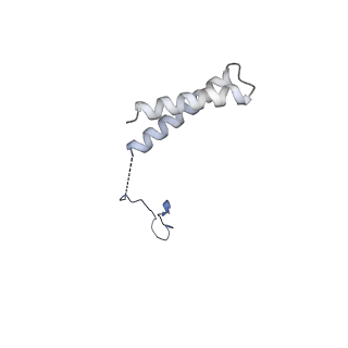 3979_6exn_R_v1-4
Post-catalytic P complex spliceosome with 3' splice site docked