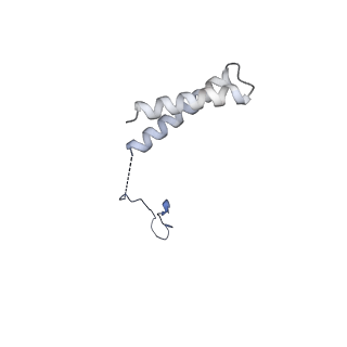 3979_6exn_R_v2-0
Post-catalytic P complex spliceosome with 3' splice site docked