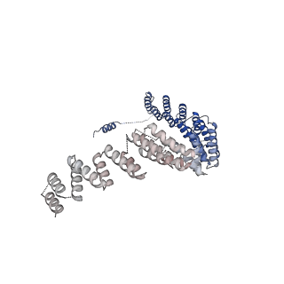 3979_6exn_S_v1-4
Post-catalytic P complex spliceosome with 3' splice site docked