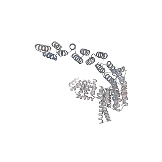 3979_6exn_T_v1-4
Post-catalytic P complex spliceosome with 3' splice site docked