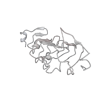 3979_6exn_W_v1-4
Post-catalytic P complex spliceosome with 3' splice site docked