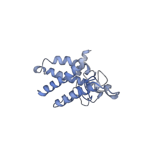 3979_6exn_a_v1-4
Post-catalytic P complex spliceosome with 3' splice site docked