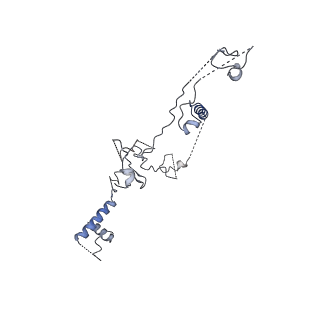 3979_6exn_c_v1-4
Post-catalytic P complex spliceosome with 3' splice site docked