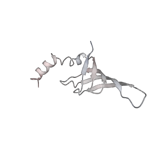 3979_6exn_j_v1-4
Post-catalytic P complex spliceosome with 3' splice site docked