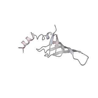 3979_6exn_j_v2-0
Post-catalytic P complex spliceosome with 3' splice site docked