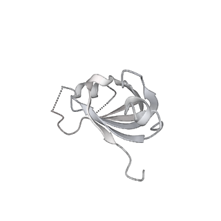 3979_6exn_l_v1-4
Post-catalytic P complex spliceosome with 3' splice site docked