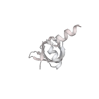 3979_6exn_m_v1-4
Post-catalytic P complex spliceosome with 3' splice site docked