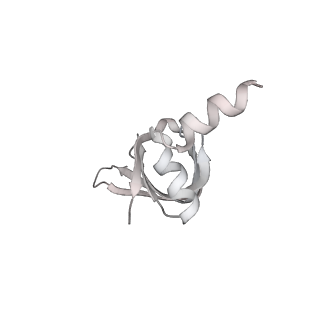 3979_6exn_m_v2-0
Post-catalytic P complex spliceosome with 3' splice site docked