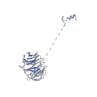 3979_6exn_o_v1-4
Post-catalytic P complex spliceosome with 3' splice site docked