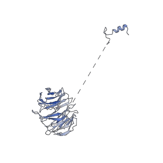 3979_6exn_o_v2-0
Post-catalytic P complex spliceosome with 3' splice site docked