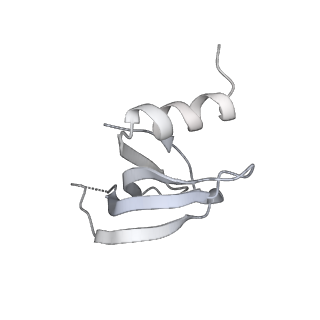 3979_6exn_p_v1-4
Post-catalytic P complex spliceosome with 3' splice site docked