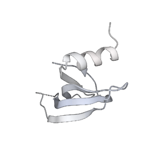 3979_6exn_p_v2-0
Post-catalytic P complex spliceosome with 3' splice site docked