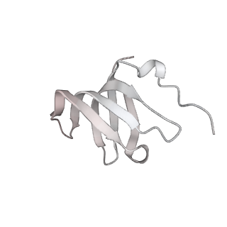 3979_6exn_r_v1-4
Post-catalytic P complex spliceosome with 3' splice site docked
