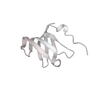 3979_6exn_r_v2-0
Post-catalytic P complex spliceosome with 3' splice site docked