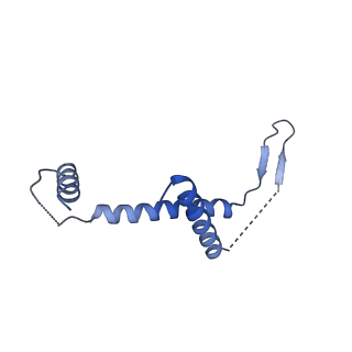 3979_6exn_y_v1-4
Post-catalytic P complex spliceosome with 3' splice site docked