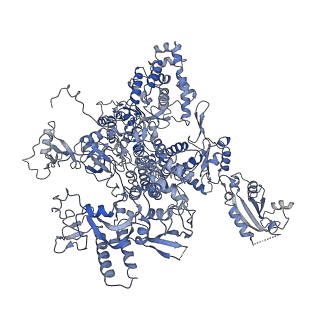 3981_6exv_A_v1-5
Structure of mammalian RNA polymerase II elongation complex inhibited by Alpha-amanitin