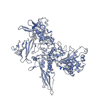 3981_6exv_B_v1-5
Structure of mammalian RNA polymerase II elongation complex inhibited by Alpha-amanitin