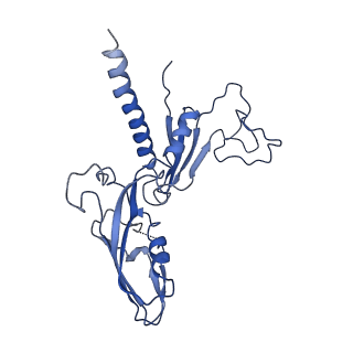3981_6exv_C_v1-5
Structure of mammalian RNA polymerase II elongation complex inhibited by Alpha-amanitin
