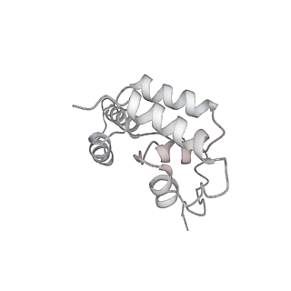 3981_6exv_D_v1-5
Structure of mammalian RNA polymerase II elongation complex inhibited by Alpha-amanitin