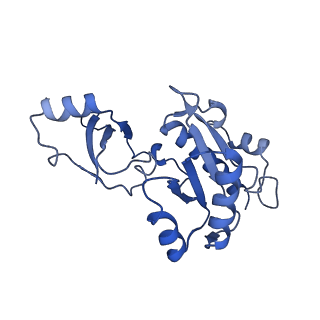 3981_6exv_E_v1-5
Structure of mammalian RNA polymerase II elongation complex inhibited by Alpha-amanitin