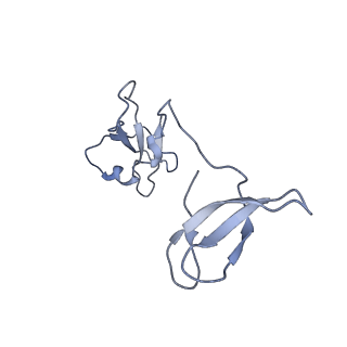 3981_6exv_I_v1-5
Structure of mammalian RNA polymerase II elongation complex inhibited by Alpha-amanitin
