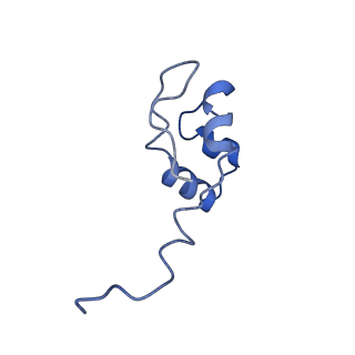 3981_6exv_J_v1-5
Structure of mammalian RNA polymerase II elongation complex inhibited by Alpha-amanitin