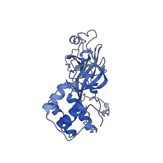 28666_8ey2_A_v1-1
Cryo-EM structure of SARS-CoV-2 Main protease C145S in complex with N-terminal peptide