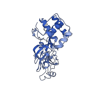 28666_8ey2_B_v1-1
Cryo-EM structure of SARS-CoV-2 Main protease C145S in complex with N-terminal peptide