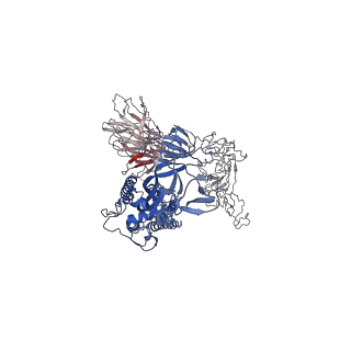 28686_8eyg_A_v1-0
SARS-CoV-2 spike protein complexed with two nanobodies
