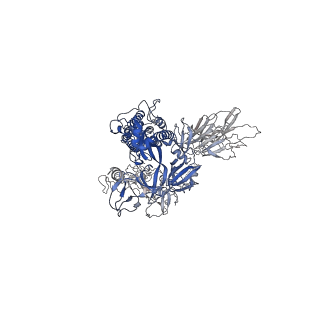 28686_8eyg_B_v1-0
SARS-CoV-2 spike protein complexed with two nanobodies