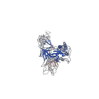 28686_8eyg_C_v1-0
SARS-CoV-2 spike protein complexed with two nanobodies