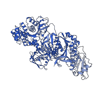28690_8eyi_E_v1-1
Atomic model of the core modifying region of human fatty acid synthase