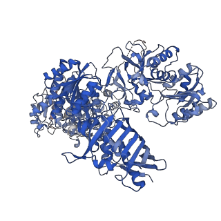 28690_8eyi_F_v1-1
Atomic model of the core modifying region of human fatty acid synthase