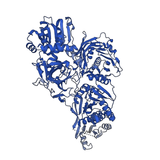 28691_8eyk_E_v1-1
Atomic model of the core modifying region of human fatty acid synthase in complex with TVB-2640