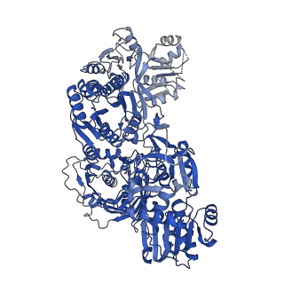 28691_8eyk_F_v1-1
Atomic model of the core modifying region of human fatty acid synthase in complex with TVB-2640