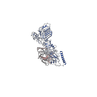 28693_8eyr_B_v1-1
Cryo-EM structure of two IGF1 bound full-length mouse IGF1R mutant (four glycine residues inserted in the alpha-CT; IGF1R-P674G4): symmetric conformation