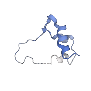 28693_8eyr_C_v1-1
Cryo-EM structure of two IGF1 bound full-length mouse IGF1R mutant (four glycine residues inserted in the alpha-CT; IGF1R-P674G4): symmetric conformation