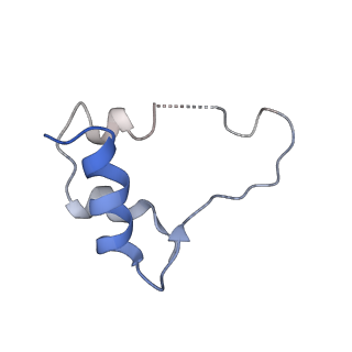 28693_8eyr_D_v1-1
Cryo-EM structure of two IGF1 bound full-length mouse IGF1R mutant (four glycine residues inserted in the alpha-CT; IGF1R-P674G4): symmetric conformation